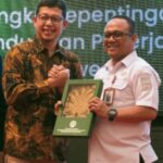 WhatsApp Image 2026-02-12 at 14.01.26