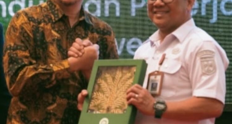 WhatsApp Image 2026-02-12 at 14.01.26