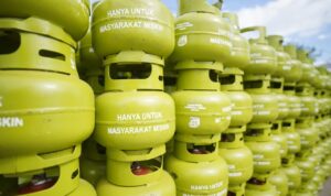 WhatsApp Image 2026-03-03 at 14.32.52