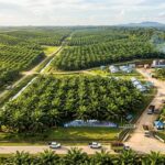 WhatsApp Image 2026-03-05 at 19.44.32