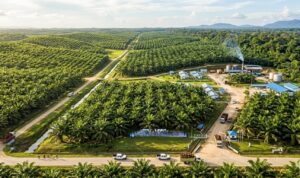 WhatsApp Image 2026-03-05 at 19.44.32