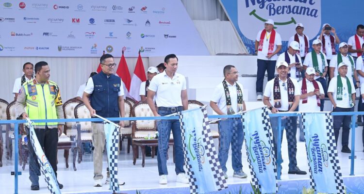 WhatsApp Image 2026-03-17 at 20.08.31